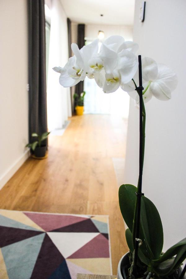 8Ight Apartamento Braşov Exterior foto